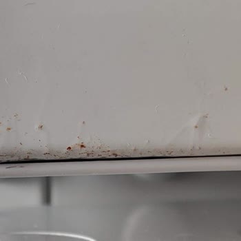 Profilo Buzdolabı Kapağında Erken Paslanma Sorunu