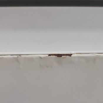 Profilo Buzdolabı Kapağında Erken Paslanma Sorunu