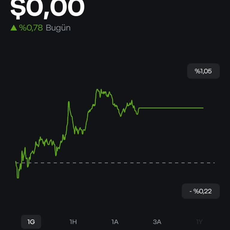Papara Yatırım Hesabında Doları TL’ye Çevirememe Sorunu Ve Çözüm Talebi!