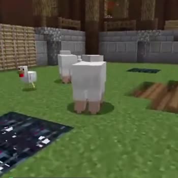 Chickennw Warp Mobarena'da Oynarken Atılıyorum