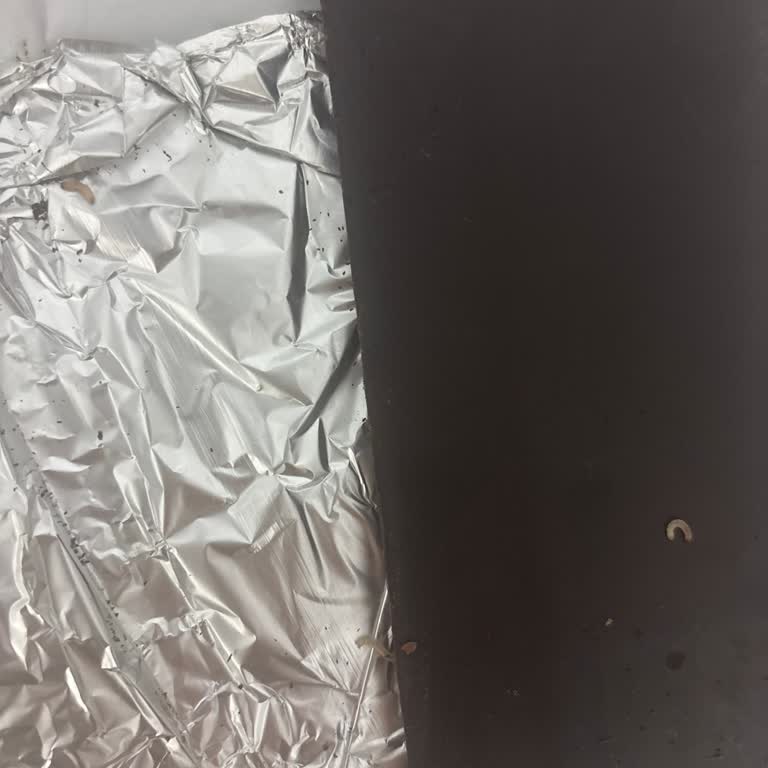 Aldığım Bitter Çikolatanın İçinden Kurt Çıktı