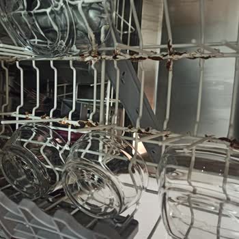 Bulaşık Makinesi Sepetlerinde Hızla Artan Paslanma Sorunu