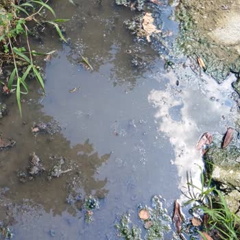 Kanalizasyon Sorununun Yıllardır Çözülememesi Nedeniyle Mağduriyet