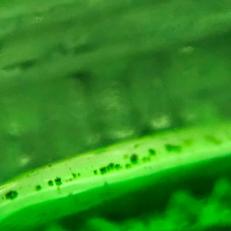 Kızılay Maden Suyunda Tehlikeli Taş Benzeri Parçacıklar Aile Sağlığımızı Riske Attı