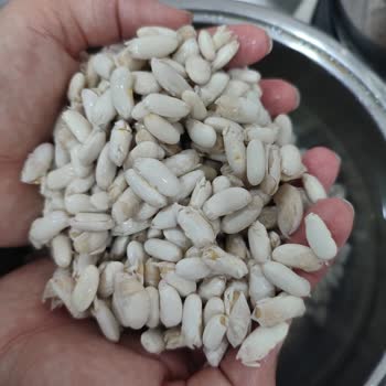 Aldığım Fasulye Hemen Filizlendi, Tazeliğinden Şüpheliyim