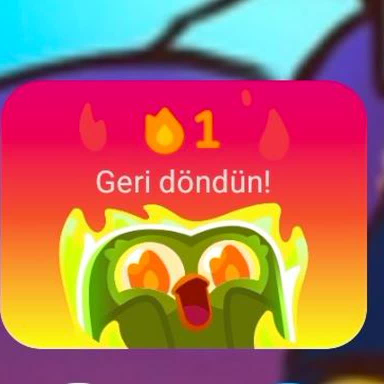 Duolingo'da Seri Dondurma Hakkı Tanımlanmadı, 333 Günlük Serim Sıfırlandı