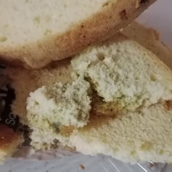 Son Kullanma Tarihi Geçmemiş Pasta Kekinde Küf Ve Kötü Koku Sorunu
