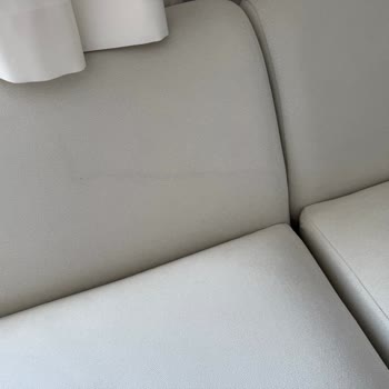 Leke Tutmayan Koltuk Suyla Bile Leke Oluyor