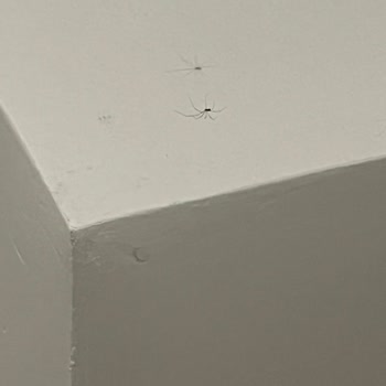 Karya Family Resort Özdere Şikayeti