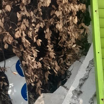 ETS Turdan Rezervasyonumda Verilen Oda Talebime Uymadı Mağduriyetim Giderilmedi