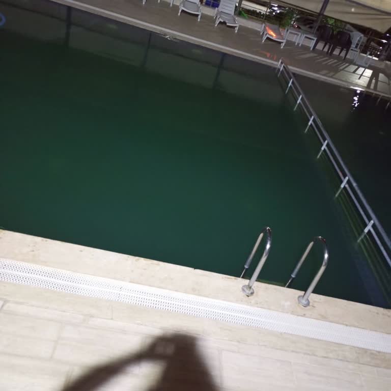 Site Havuzunun Temizlenmemesi Ve Sağlık Tehlikesi Nedeniyle Mağduriyet