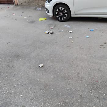 Mahallede Süregelen Temizlik Sorununa Dair Şikayet