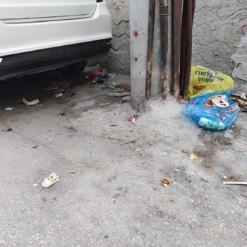 Mahallede Süregelen Temizlik Sorununa Dair Şikayet