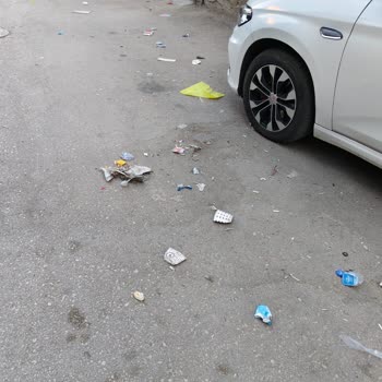 Mahallede Süregelen Temizlik Sorununa Dair Şikayet