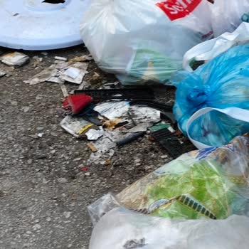 Mahallede Süregelen Temizlik Sorununa Dair Şikayet