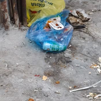 Mahallede Süregelen Temizlik Sorununa Dair Şikayet