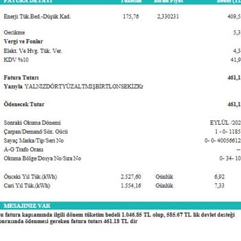 Elektrik Faturasında Anlaşılmaz İbareler Ve Yüksek Tutarlar Hakkında Bilgi Talebi