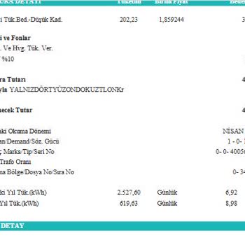 Elektrik Faturasında Anlaşılmaz İbareler Ve Yüksek Tutarlar Hakkında Bilgi Talebi