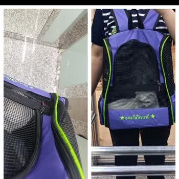 Kedi Köpek Çantası Dik Durmuyor Ve Çöküyor Deneyimim