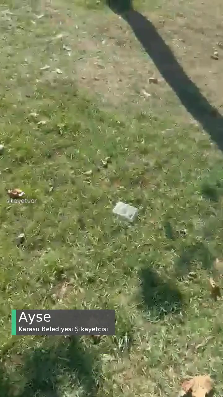 Karasu Belediyesi Çevre Ve Park İşleri İlgisiz! videonun kapak resmi