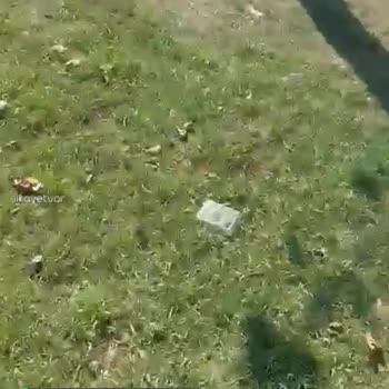 Karasu Belediyesi Çevre Ve Park İşleri İlgisiz!