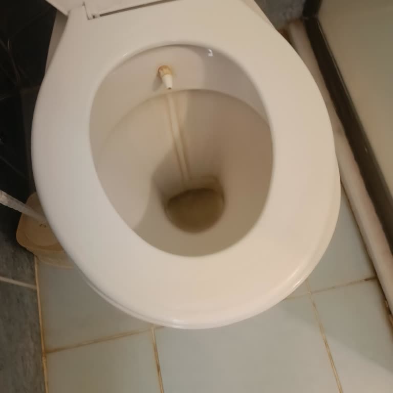 Otelde Hijyen Sorunu ve İade Talebi Hakkında Şikayet