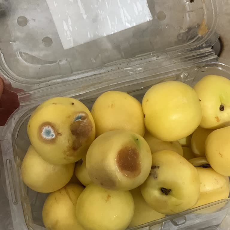 Migros Sanal Marketten Çürük Meyve Teslimatı Ve İade Sorunu