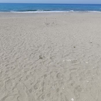 Michel Hotel'de Beklentileri Karşılamayan Hizmet Ve Hijyen Sorunları