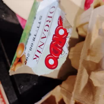 BİM’den Alınan Gordo Yumurtalarda Çürük Ürün Ve İlgisiz Müşteri Hizmeti Mağduriyeti