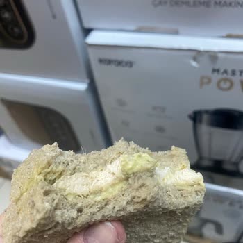 Tada Pesto Soslu Tavuklu Sandviçten Kıl Çıkması Hijyen Endişesi