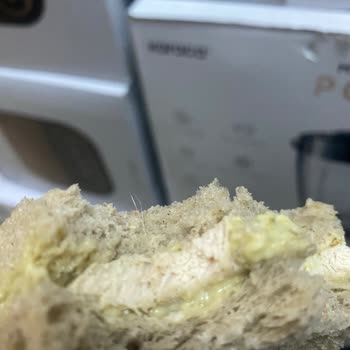 Tada Pesto Soslu Tavuklu Sandviçten Kıl Çıkması Hijyen Endişesi