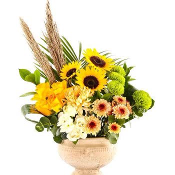 Aynı Hata Tekrarlandı: Yanlış Ürün, Çözüm Yok, Mağduriyet Devam Ediyor