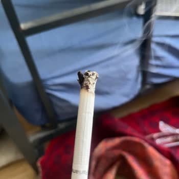 Parliament Night Blue'da Yabancı Madde Ve Tat Sorunu