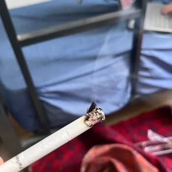 Parliament Night Blue'da Yabancı Madde Ve Tat Sorunu