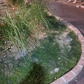 Şehzadeler Bulvarında Temizlik Ve Havuz Güvenliği Sorunları Mahalleliyi Endişelendiriyor