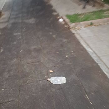 Şehzadeler Bulvarında Temizlik Ve Havuz Güvenliği Sorunları Mahalleliyi Endişelendiriyor