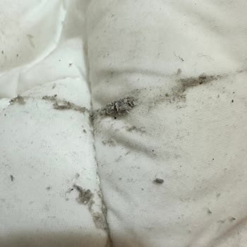 Vestel Çamaşır Makinesi Sıkma Sorunu, Paslanma Ve Su Kaçağı Problemi