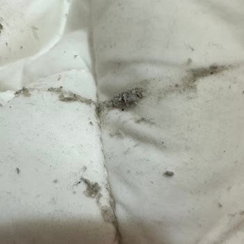 Vestel Çamaşır Makinesi Sıkma Sorunu, Paslanma Ve Su Kaçağı Problemi