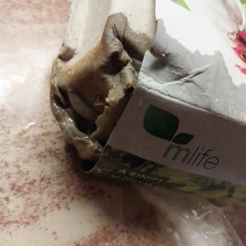 Sürekli Kırık Ve Bozuk Yumurta Teslimatı, Çözüm Sunulmuyor