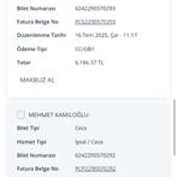 Pegasus Uçuşunda Online Check-in Sorunu Ve Mağduriyet