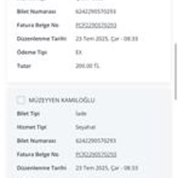 Pegasus Uçuşunda Online Check-in Sorunu Ve Mağduriyet