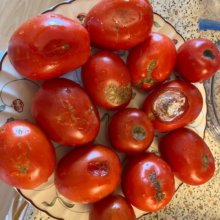 Migros Sanal Marketten Çürük Ve Yanlış Ürün Teslimatı, İade Sorunu