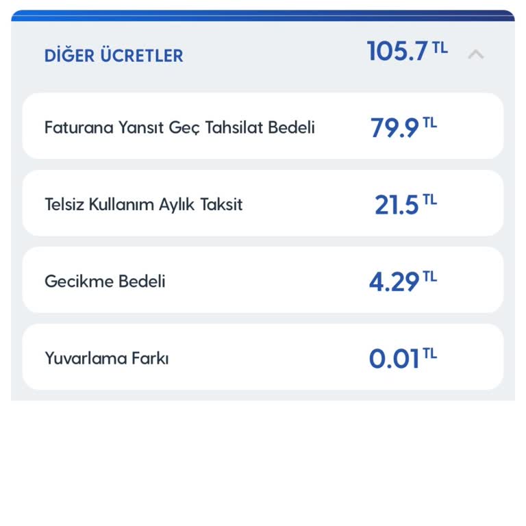 Geç Ödenen Fatura İçin Yüksek Geç Ödeme Bedeli Şikayeti