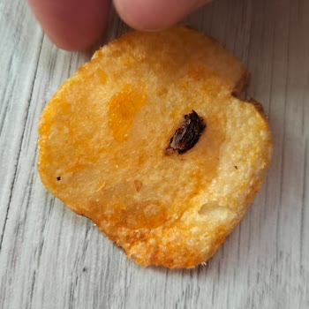 Cips Paketinden Sinek Çıktı: Sağlığım Tehlikeye Girdi