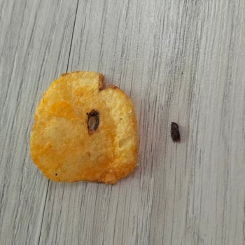 Cips Paketinden Sinek Çıktı: Sağlığım Tehlikeye Girdi