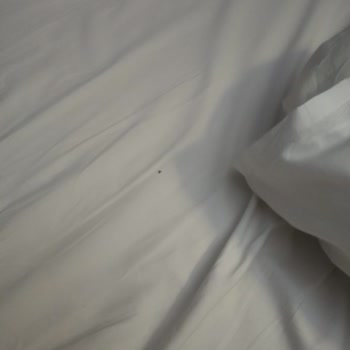 Vav Otel'de Temizlik, Güvenlik Ve İletişim Sorunları: Ücret İadesi Talebim Karşılanmadı