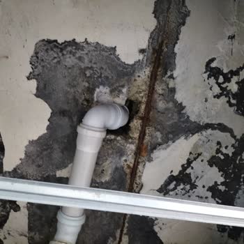 Sigorta Şirketinden Hasar Tazmini Ve Resmi Açıklama Bekliyorum