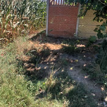 İzinsiz Artezyen Kuyusu ve Gürültü Sorunu Hakkında Şikayet