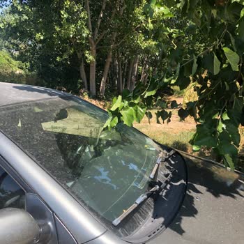 İzinsiz Artezyen Kuyusu ve Gürültü Sorunu Hakkında Şikayet