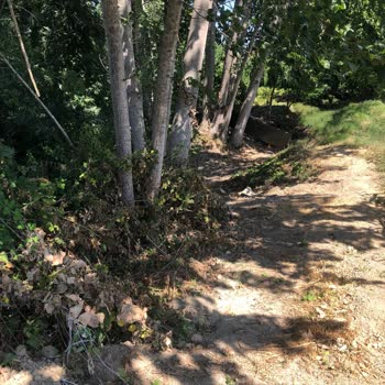 İzinsiz Artezyen Kuyusu ve Gürültü Sorunu Hakkında Şikayet